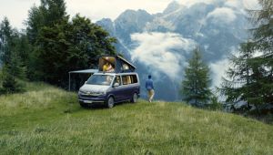 California 6.1 Ocean 2,0 l TDI 150 kW (204 PS) 4MOTION AD DSG